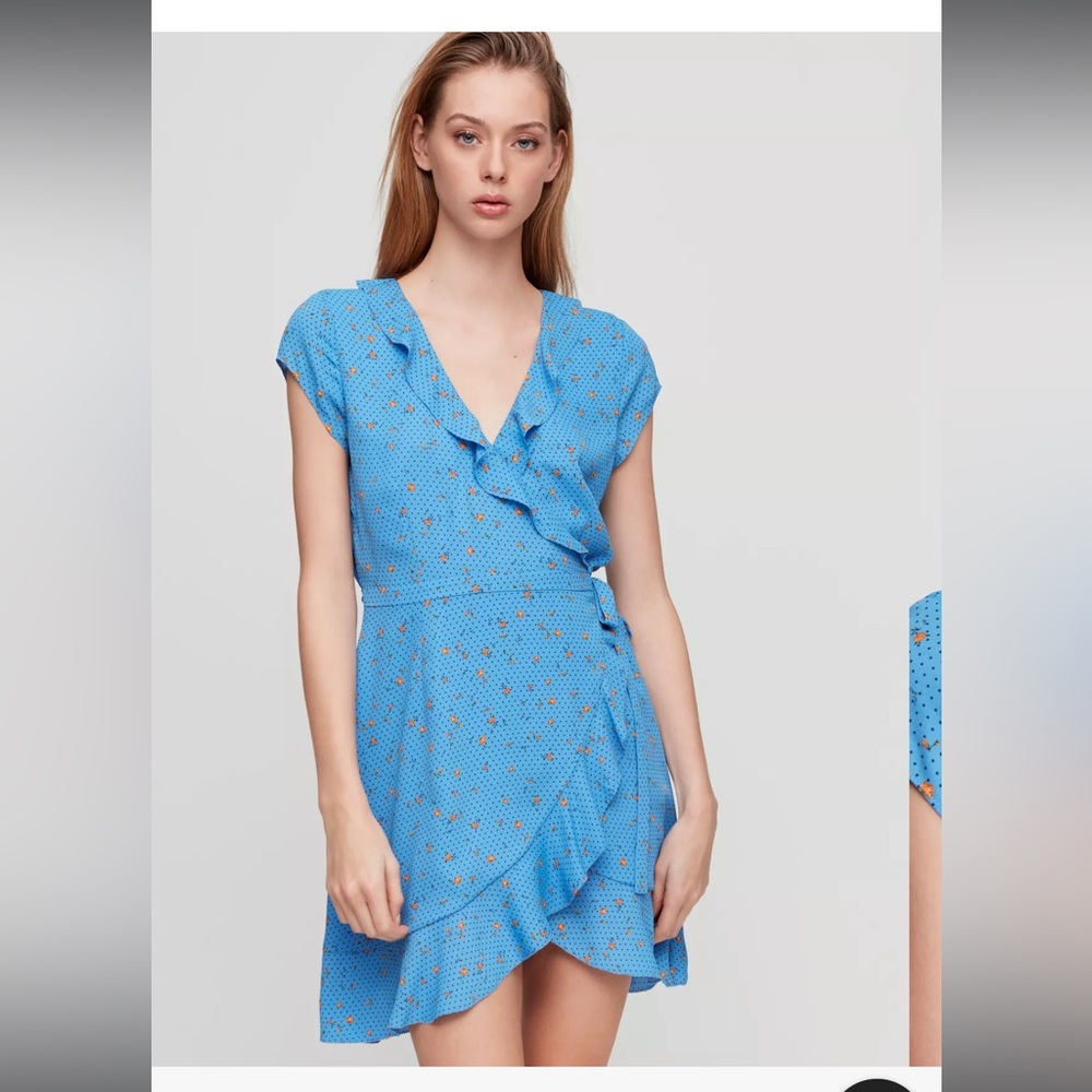 Aritzia Wrap Dress in Blue Floral